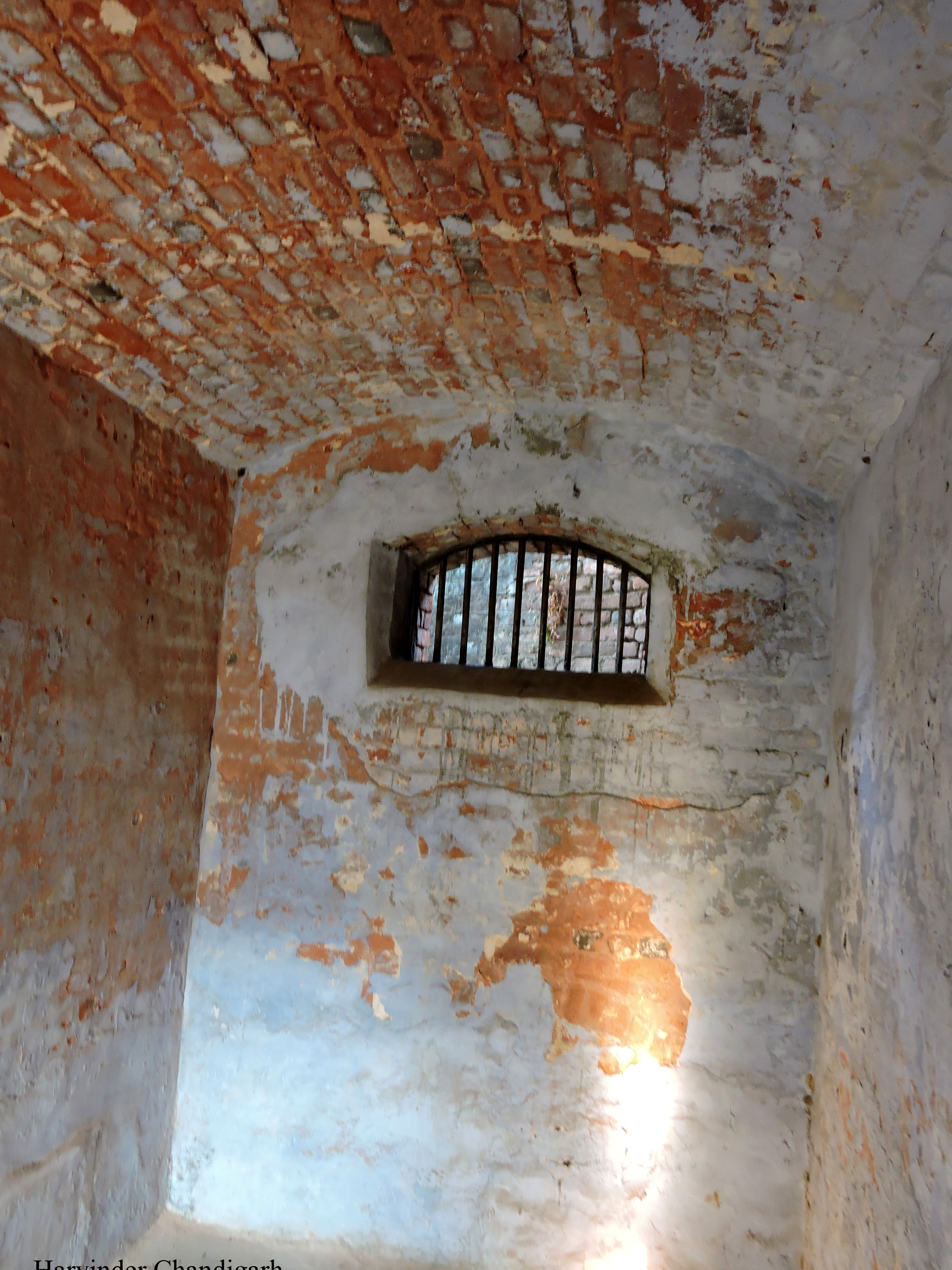 Inside the Cellular Jail